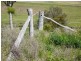Lot 29 Paynes Road, Freestone QLD 4370
