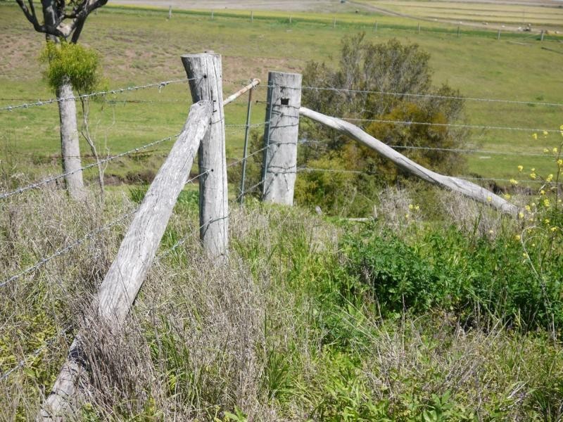 Lot 29 Paynes Road, Freestone QLD 4370