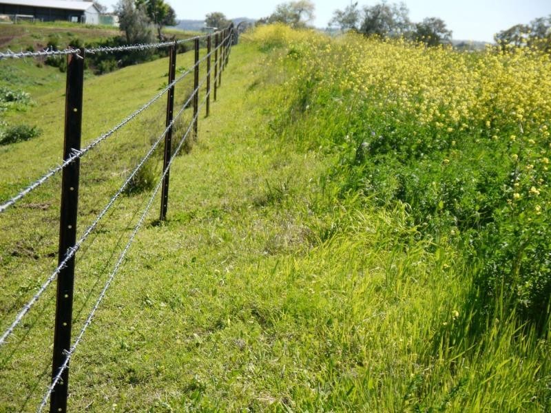 Lot 29 Paynes Road, Freestone QLD 4370