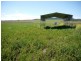 Lot 29 Paynes Road, Freestone QLD 4370