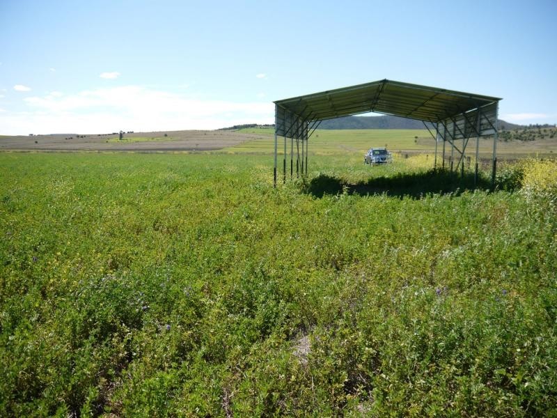 Lot 29 Paynes Road, Freestone QLD 4370