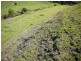 Lot 29 Paynes Road, Freestone QLD 4370