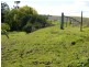 Lot 29 Paynes Road, Freestone QLD 4370