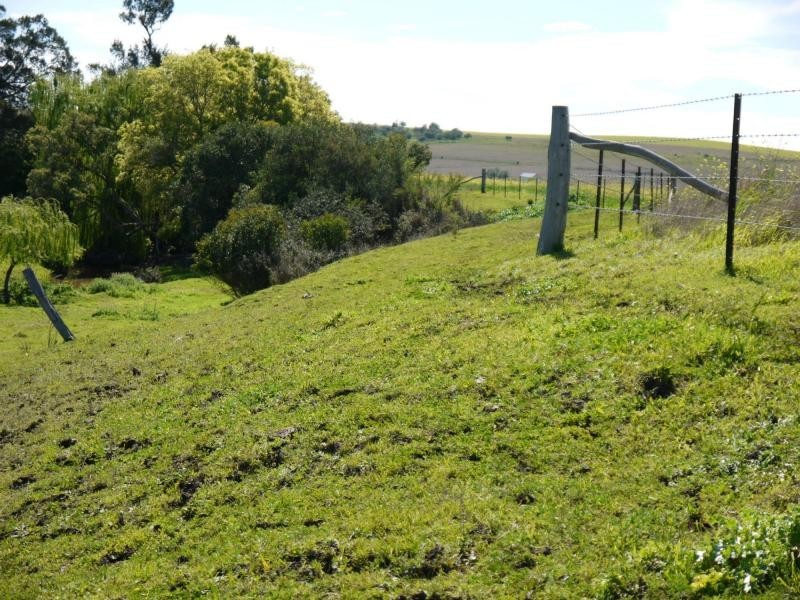 Lot 29 Paynes Road, Freestone QLD 4370