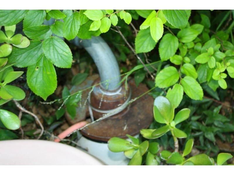 34 Sparksmans Road, Mount Marshall QLD 4362