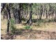 2352 Leyburn Cunningham Road, Pratten QLD 4370