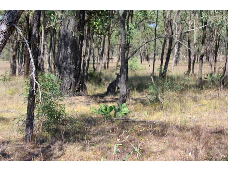 2352 Leyburn Cunningham Road, Pratten QLD 4370