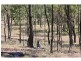 2352 Leyburn Cunningham Road, Pratten QLD 4370