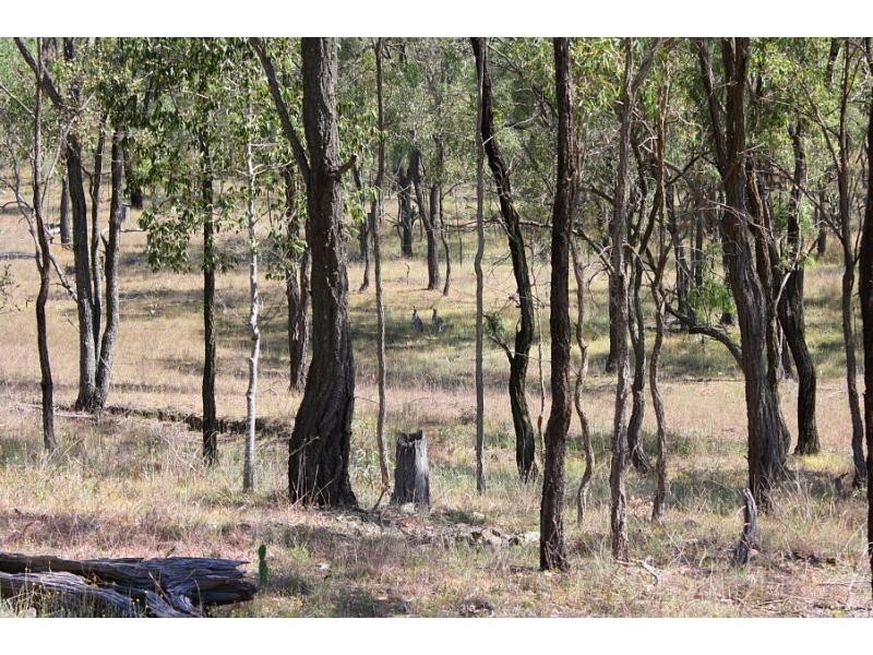 2352 Leyburn Cunningham Road, Pratten QLD 4370