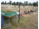 838 Wright’s Road, Inglewood QLD 4387