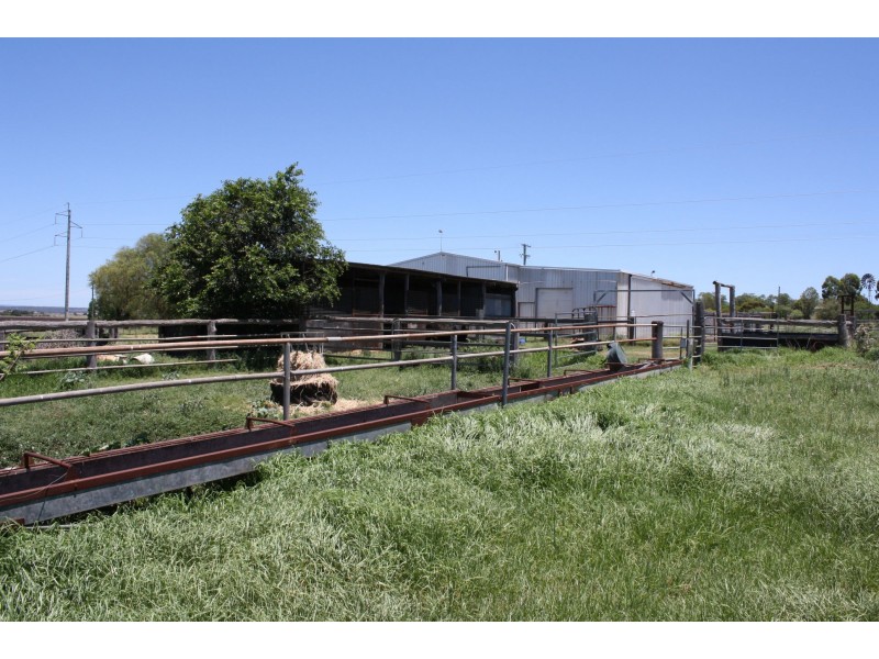 120 Allora-Clifton Road, Allora QLD 4362