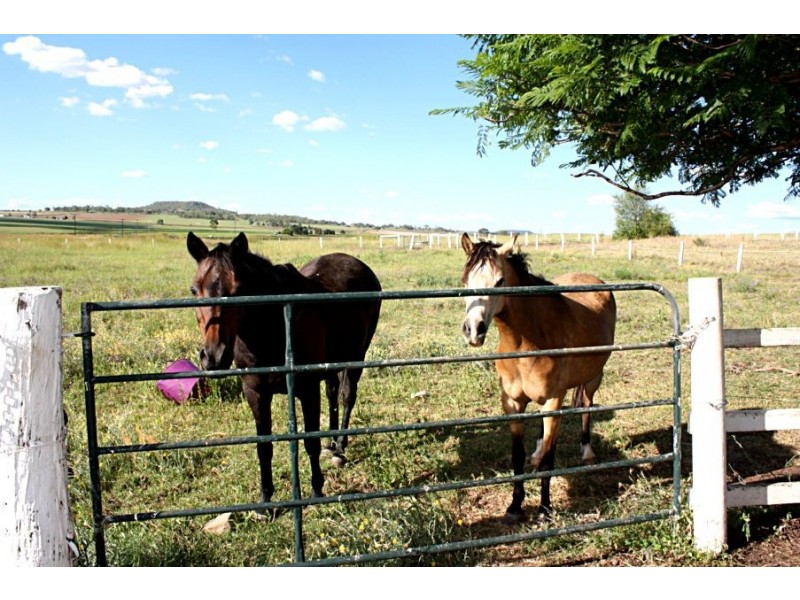 17341 New England Highway, Allora QLD 4362