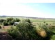 17341 New England Highway, Allora QLD 4362