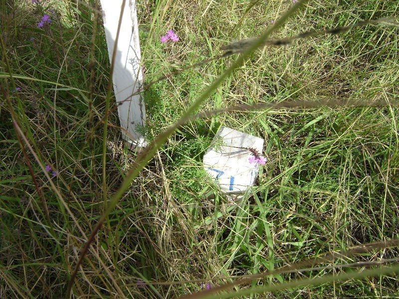 L71 Allan Street, Maryvale QLD 4370