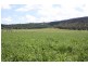 57 Briggs Road, Upper Freestone QLD 4370