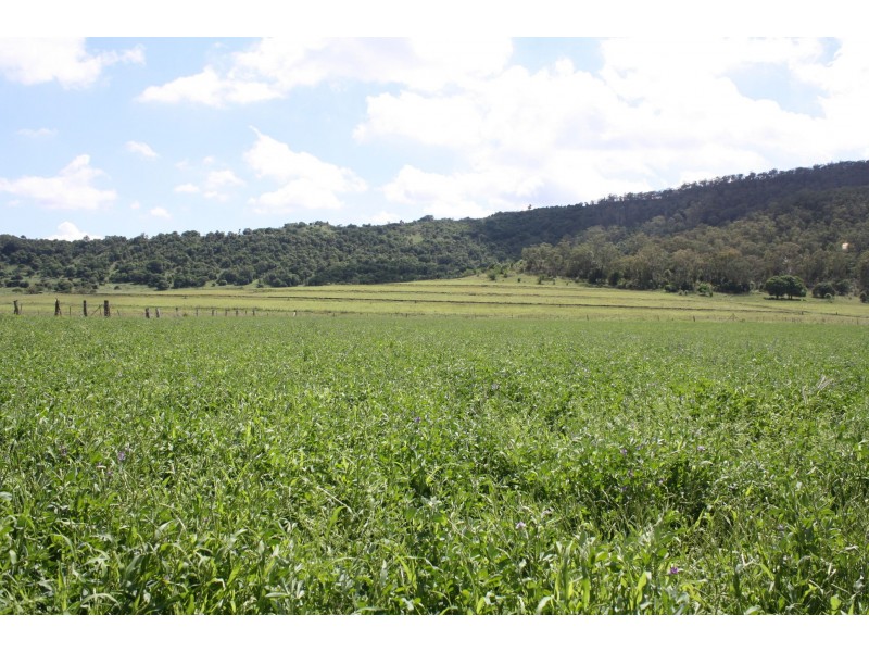 57 Briggs Road, Upper Freestone QLD 4370