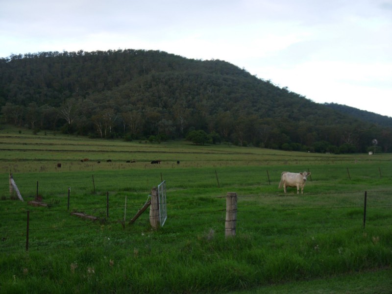 57 Briggs Road, Upper Freestone QLD 4370