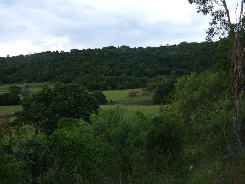 57 Briggs Road, Upper Freestone QLD 4370