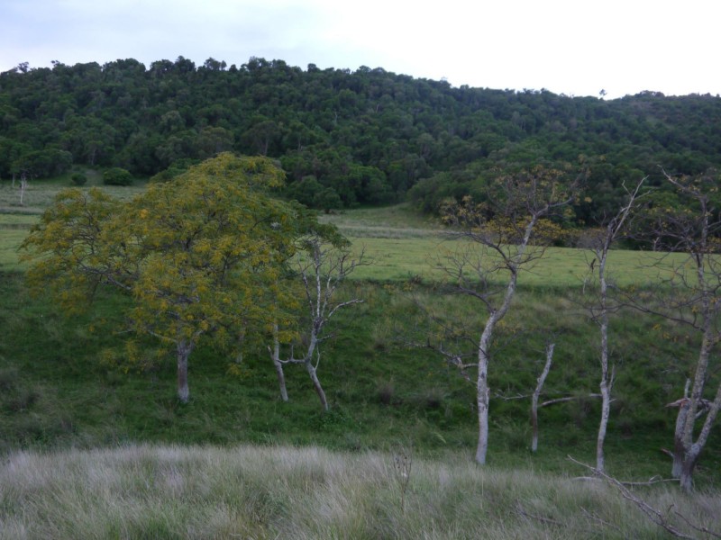 57 Briggs Road, Upper Freestone QLD 4370