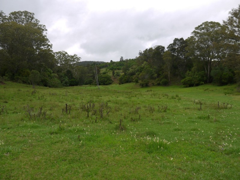 Lot 484 Briggs Road, Upper Freestone QLD 4370