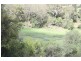 Lot 484 Briggs Road, Upper Freestone QLD 4370