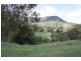 Lot 484 Briggs Road, Upper Freestone QLD 4370