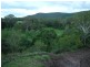 Lot 484 Briggs Road, Upper Freestone QLD 4370