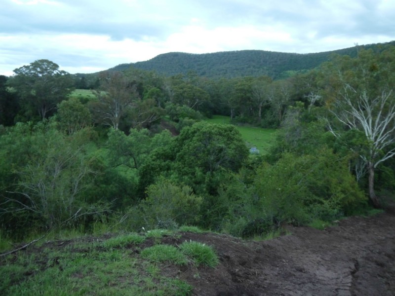 Lot 484 Briggs Road, Upper Freestone QLD 4370