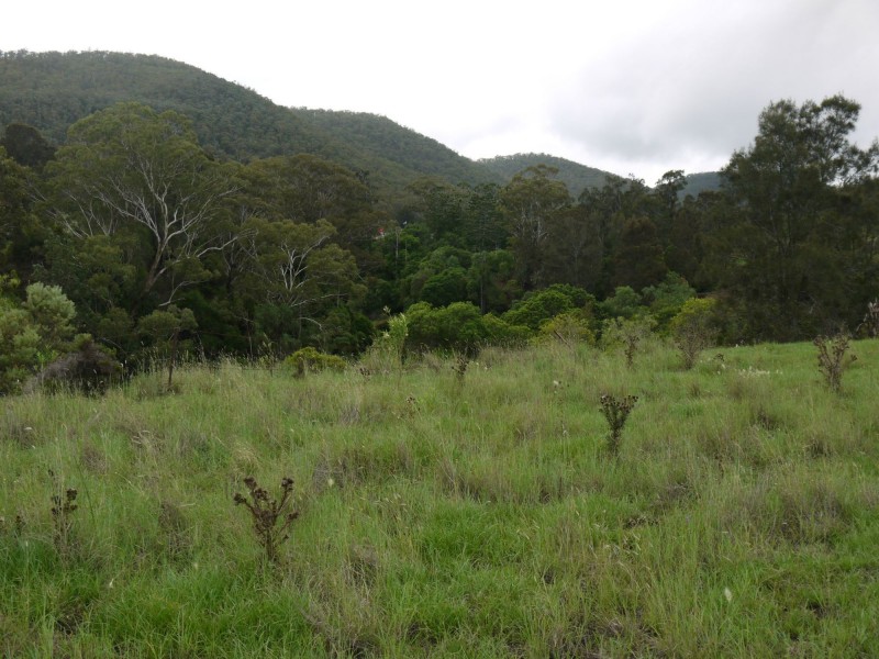 Lot 484 Briggs Road, Upper Freestone QLD 4370