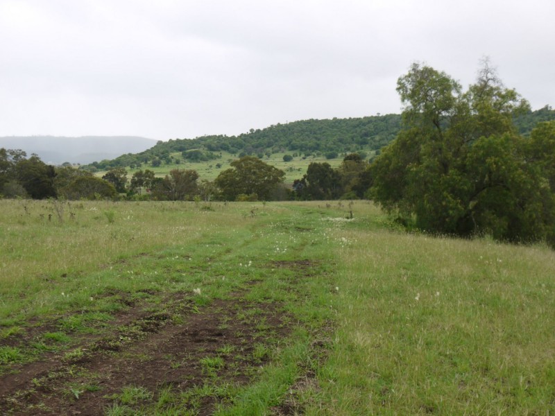 Lot 484 Briggs Road, Upper Freestone QLD 4370