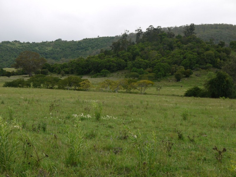 Lot 484 Briggs Road, Upper Freestone QLD 4370