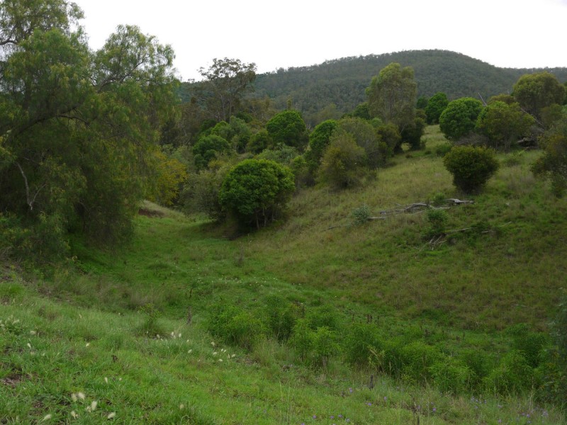 Lot 484 Briggs Road, Upper Freestone QLD 4370