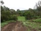 Lot 484 Briggs Road, Upper Freestone QLD 4370