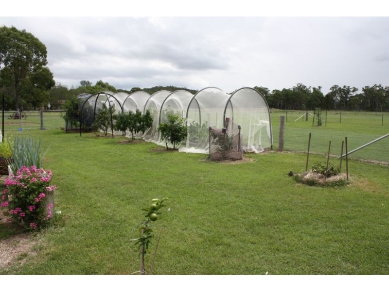 92 Tummaville Road, Leyburn QLD 4365