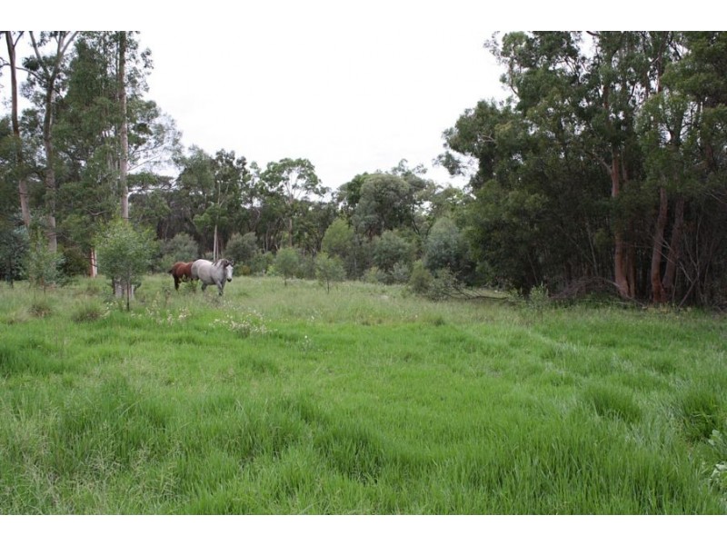 Rosenthal Heights QLD 4370