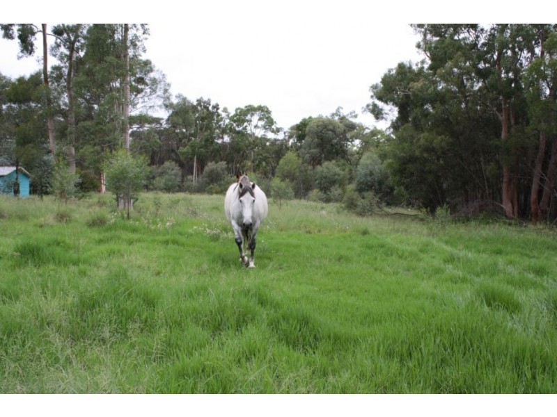 Rosenthal Heights QLD 4370