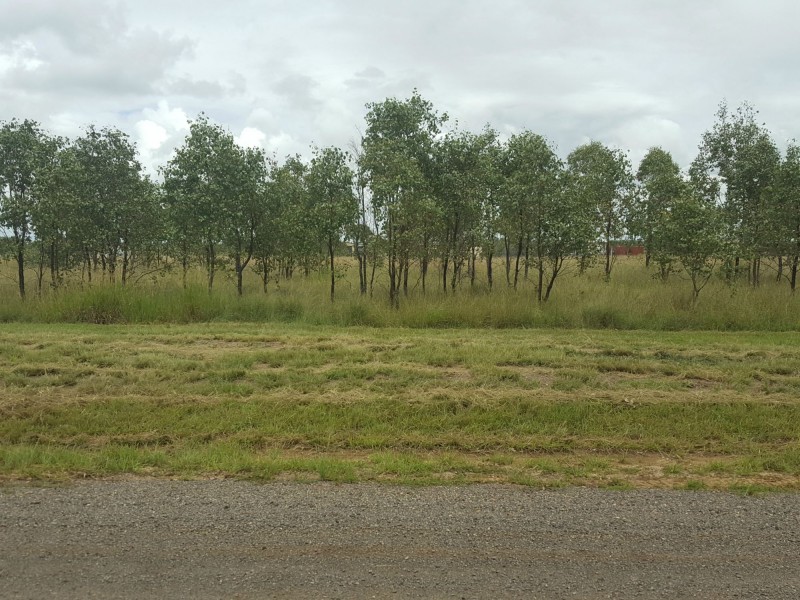 Lot 508 Barron Street, Hendon QLD 4362