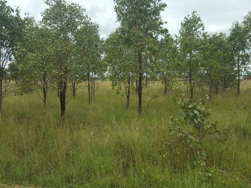 Lot 508 Barron Street, Hendon QLD 4362