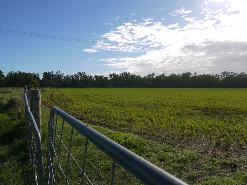 875 Tobacco Road, Inglewood QLD 4387