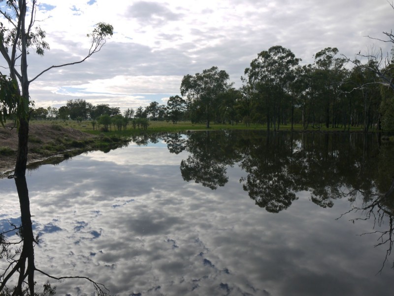 875 Tobacco Road, Inglewood QLD 4387