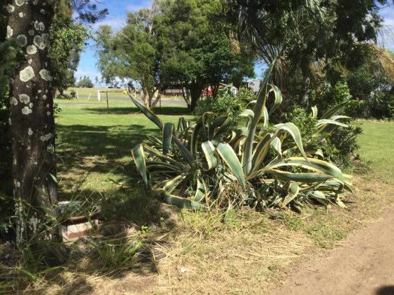 81 Logan Road, Clifton QLD 4361