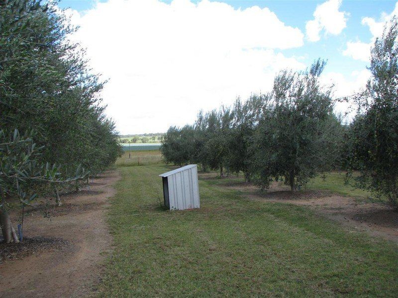 Allora QLD 4362