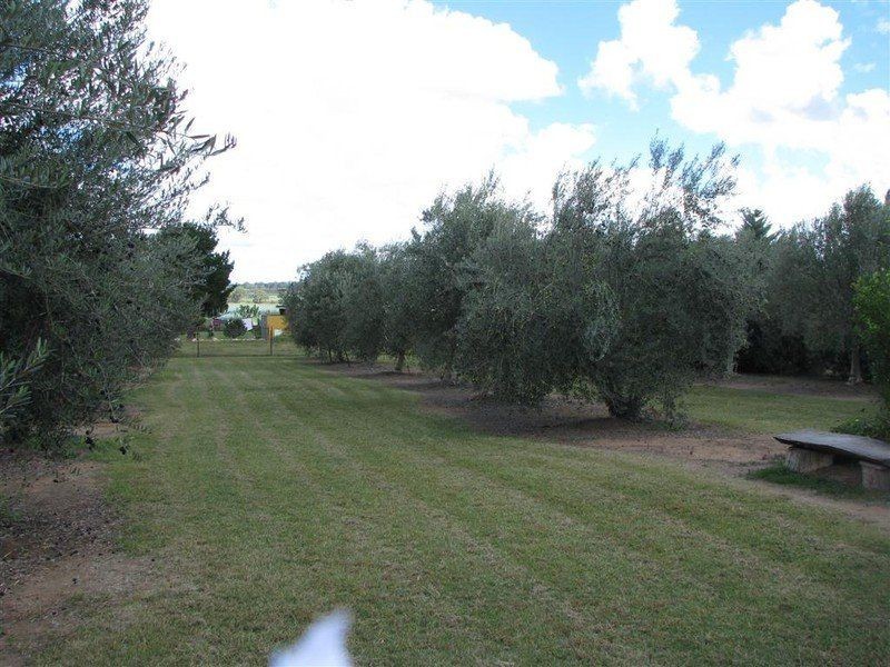 Allora QLD 4362