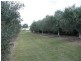 Allora QLD 4362