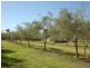 Allora QLD 4362