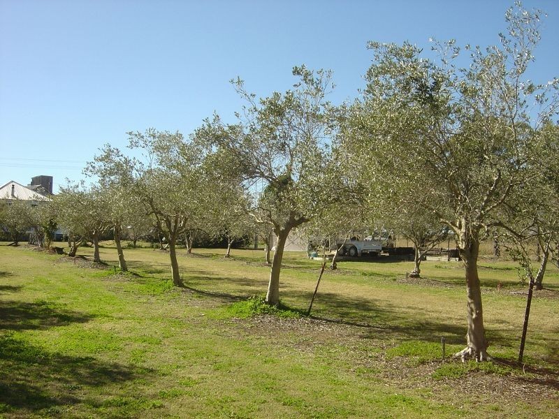 Allora QLD 4362
