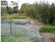 277 Granite Belt Drive, Stanthorpe QLD 4380