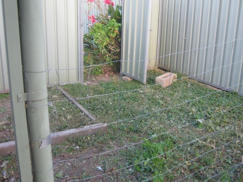 188 Pratten Street, Warwick QLD 4370