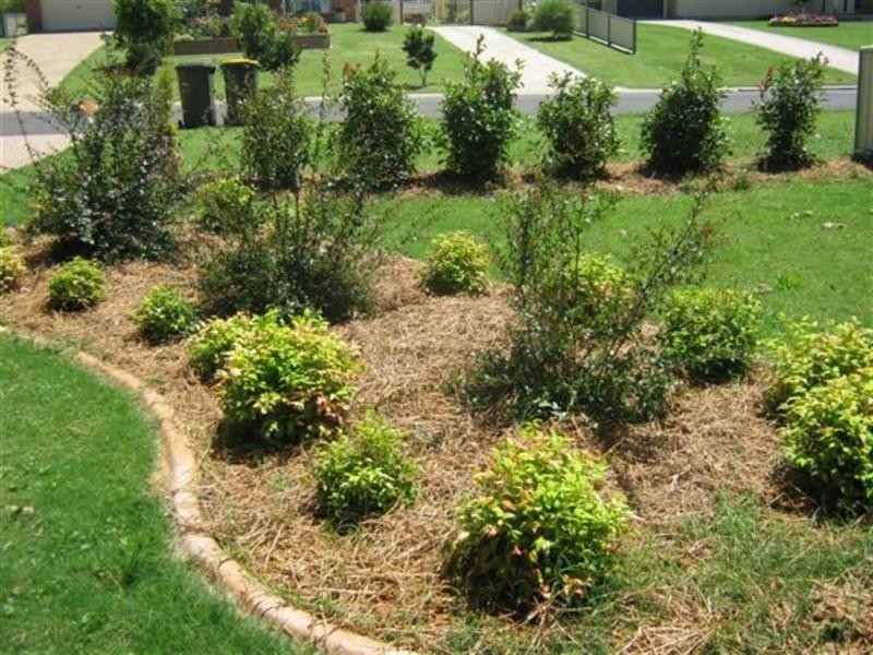 Unit 1/5 Hans Borgar Court, Warwick QLD 4370