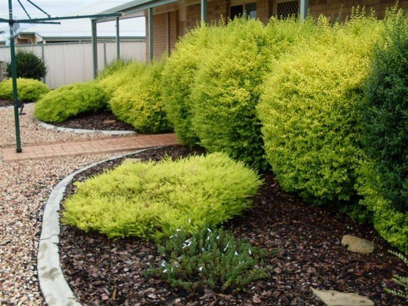 29 Flynn Drive, Warwick QLD 4370